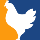 ChickenGG Review